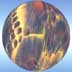 Inner Earth