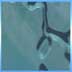 Teal Cuts