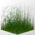 Test Grass