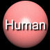 Human